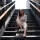 7dayschic.com-Helia-ghavam-main